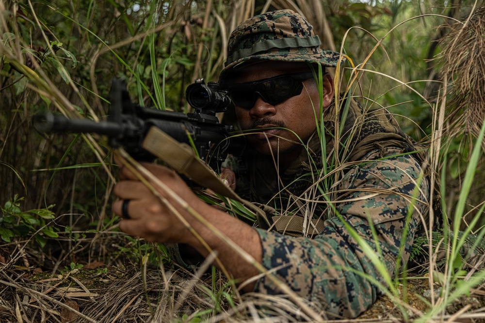 U.S. Marines and Sailors with Combat Logistics Regiment 35, 3rd Marine Logistics Group, Patrols