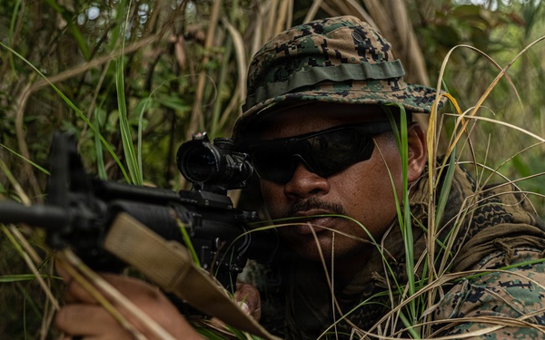U.S. Marines and Sailors with Combat Logistics Regiment 35, 3rd Marine Logistics Group, Patrols