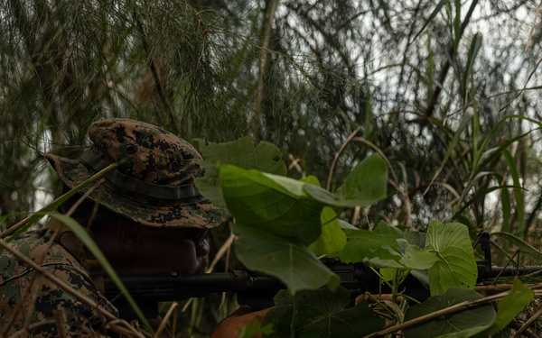 U.S. Marines and Sailors with Combat Logistics Regiment 35, 3rd Marine Logistics Group, Patrols