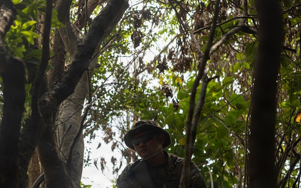 U.S. Marines and Sailors with Combat Logistics Regiment 35, 3rd Marine Logistics Group, Patrols