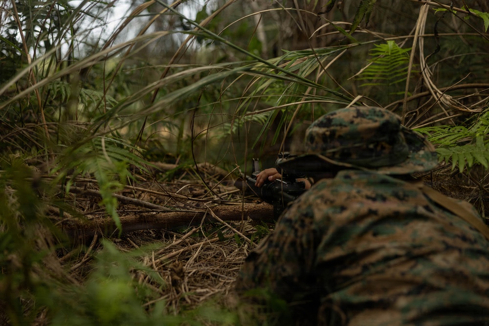 U.S. Marines and Sailors with Combat Logistics Regiment 35, 3rd Marine Logistics Group, Patrols