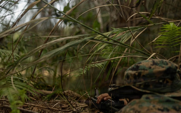U.S. Marines and Sailors with Combat Logistics Regiment 35, 3rd Marine Logistics Group, Patrols