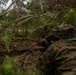 U.S. Marines and Sailors with Combat Logistics Regiment 35, 3rd Marine Logistics Group, Patrols
