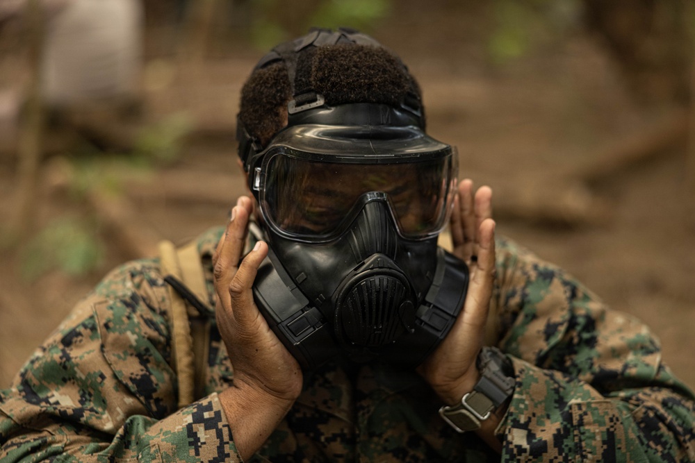 U.S. Marines and Sailors with Combat Logistics Regiment 35, 3rd Marine Logistics Group, Patrols