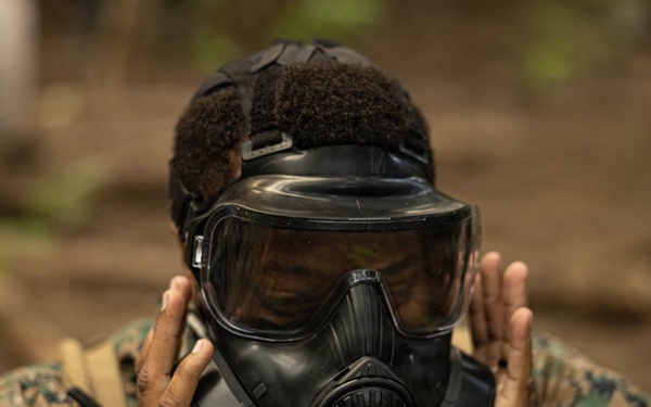 U.S. Marines and Sailors with Combat Logistics Regiment 35, 3rd Marine Logistics Group, Patrols