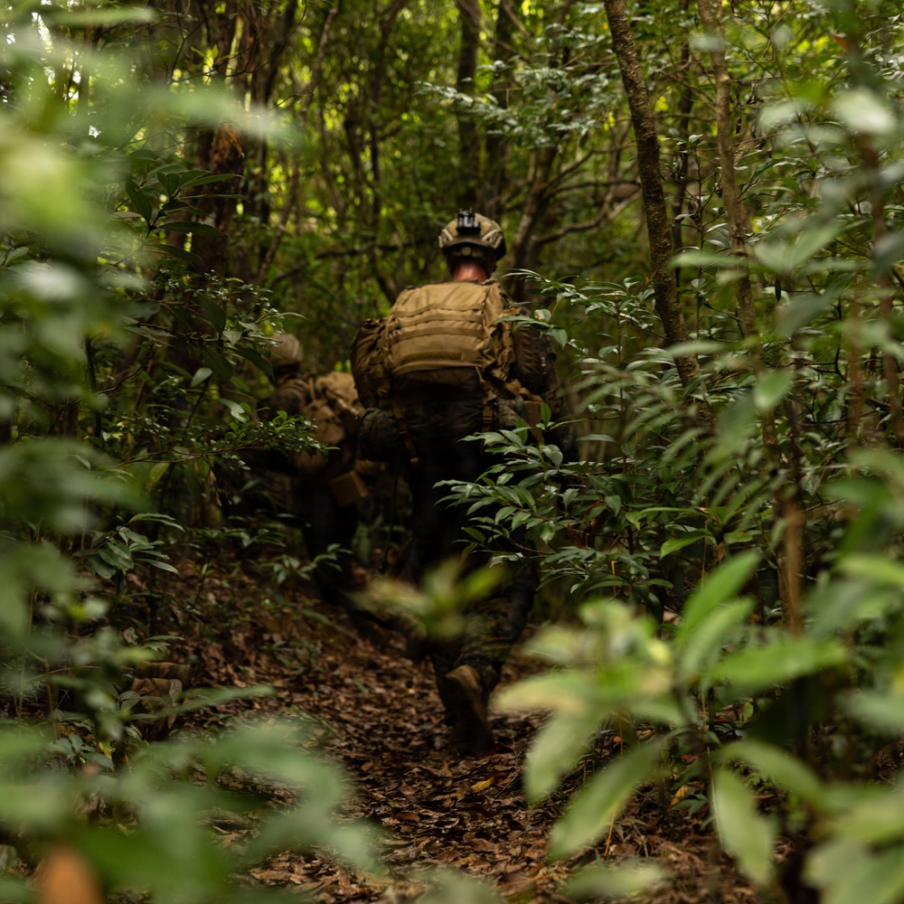 U.S. Marines with 4th Marine Regiment Conduct Patrol Training