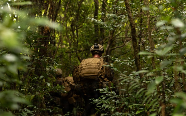 U.S. Marines with 4th Marine Regiment Conduct Patrol Training