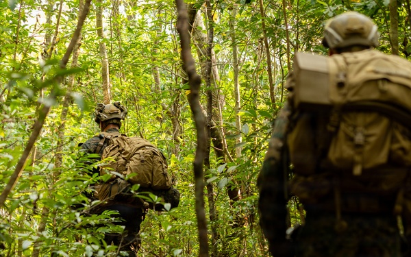 U.S. Marines with 4th Marine Regiment Conduct Patrol Training