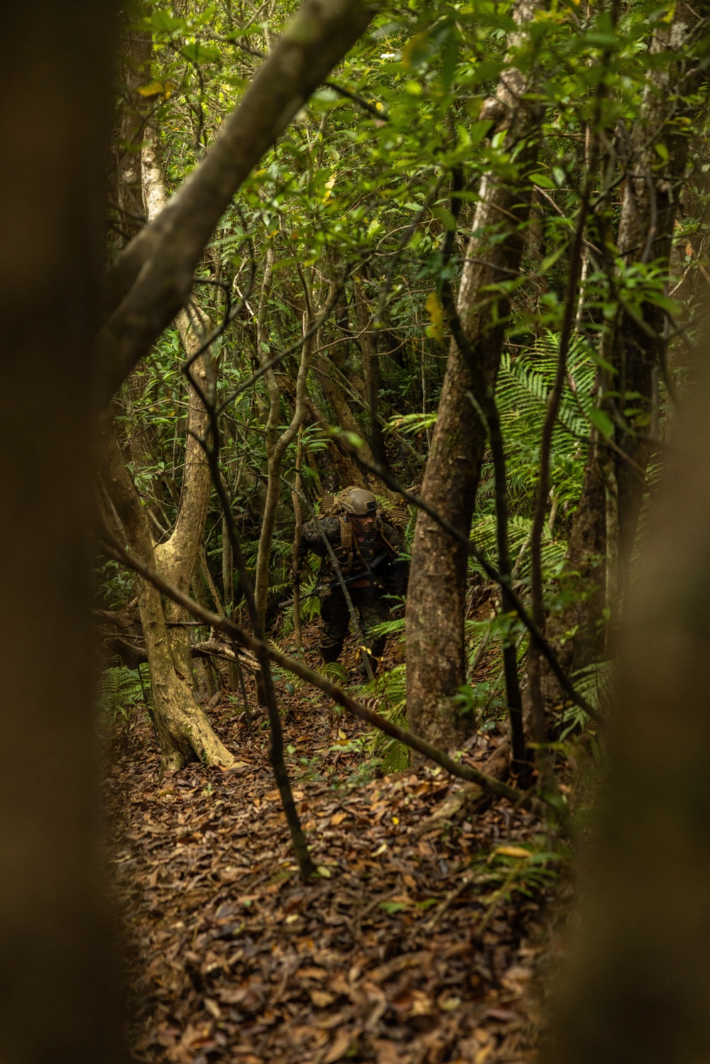 U.S. Marines with 4th Marine Regiment Conduct Patrol Training