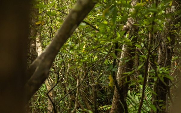 U.S. Marines with 4th Marine Regiment Conduct Patrol Training