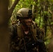 U.S. Marines with 4th Marine Regiment Conduct Patrol Training