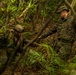 U.S. Marines with 4th Marine Regiment Conduct Patrol Training