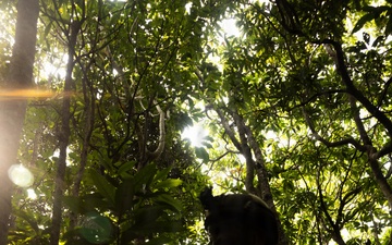 U.S. Marines with 4th Marine Regiment Conduct Patrol Training