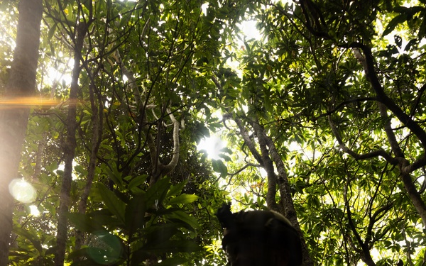 U.S. Marines with 4th Marine Regiment Conduct Patrol Training