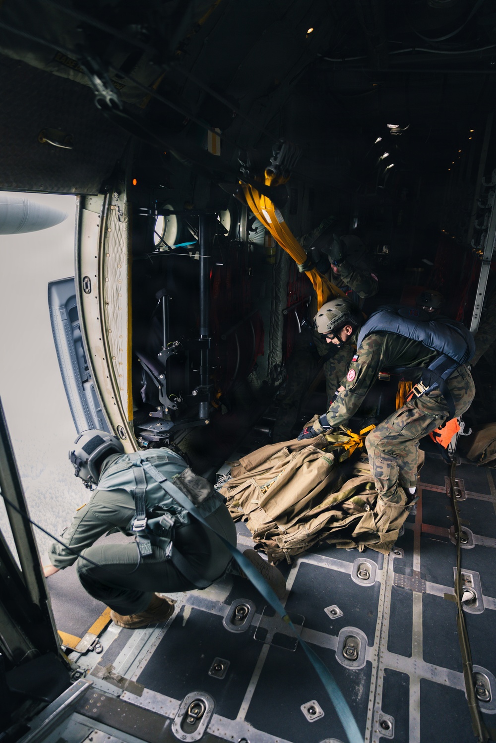 Polish Allies jump from a 139th Airlift Wing C-130H Hercules