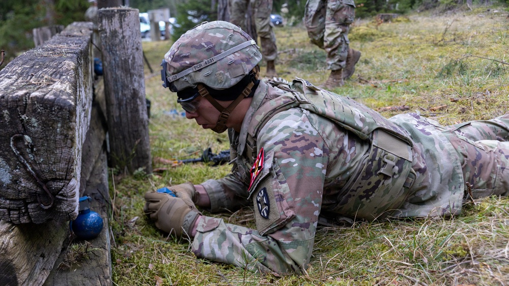 21st Theater Sustainment Command Best Squad Grenade Range