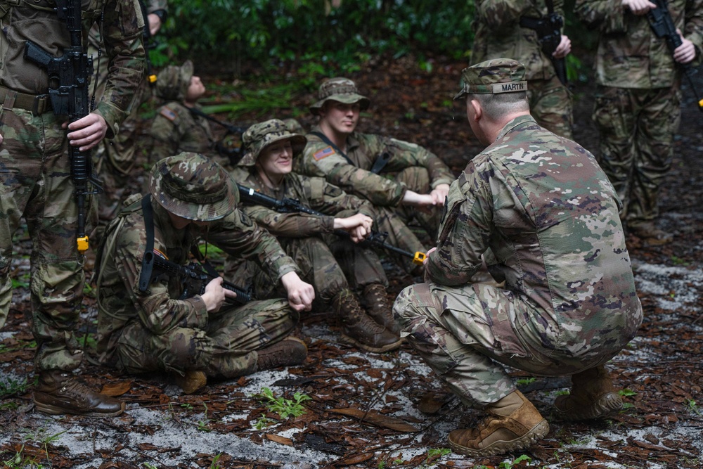Operation Rumble in the Jungle