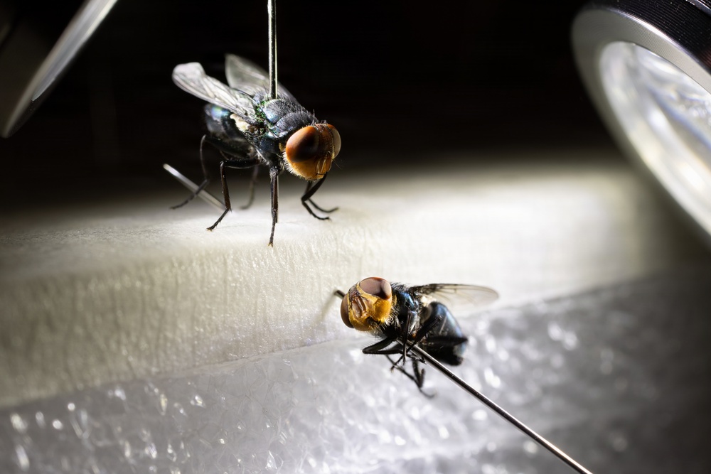 Groundbreaking Ceremony Marks New Era in Agricultural Biosecurity at Moore Air Base