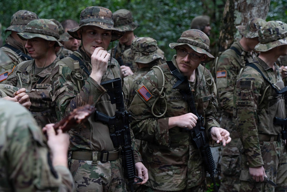 Operation Rumble in the Jungle