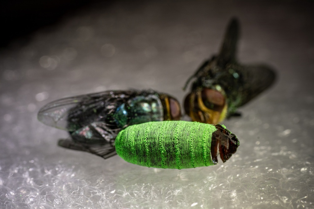 Groundbreaking Ceremony Marks New Era in Agricultural Biosecurity at Moore Air Base