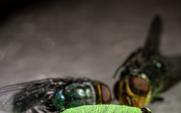 Groundbreaking Ceremony Marks New Era in Agricultural Biosecurity at Moore Air Base