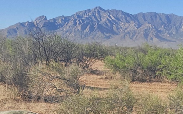 United States Army Field Band Soldiers participate in the 2026 Bataan Memorial Death March