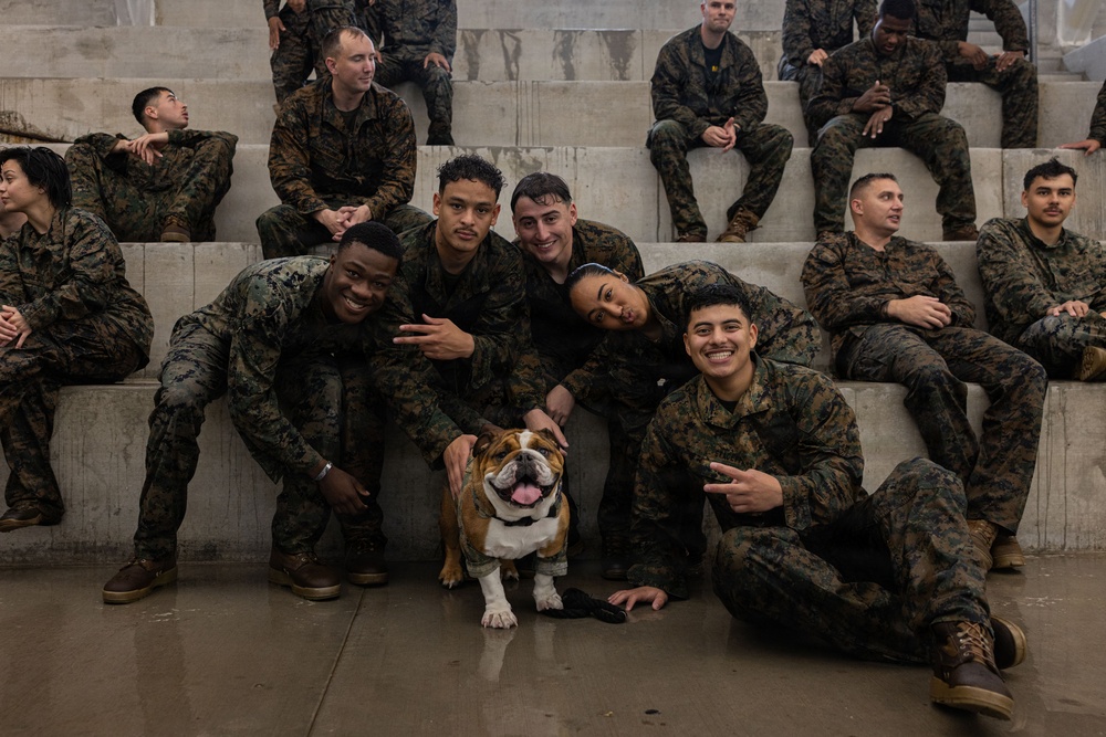 Headquarters and Service Battalion Swim Qualification