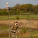 United States Army Field Band Soldiers participate in the Norwegian Foot March