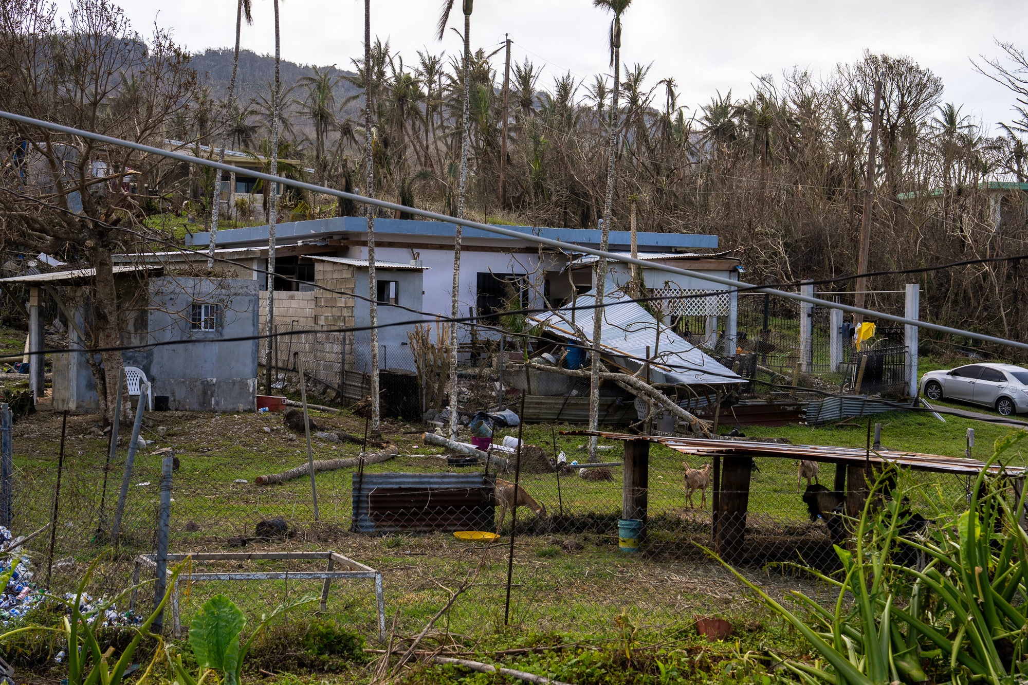 FEMA Aid Opens Across Northern Mariana Islands After Sinlaku