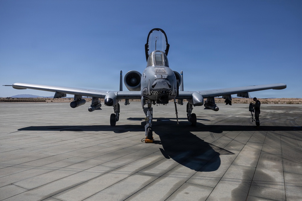 357th Fighter Squadron and MCAGCC conduct joint training with the A-10 Thunderbolt II