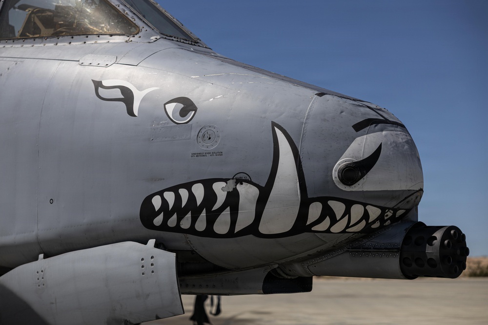 357th Fighter Squadron and MCAGCC conduct joint training with the A-10 Thunderbolt II