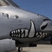 357th Fighter Squadron and MCAGCC conduct joint training with the A-10 Thunderbolt II