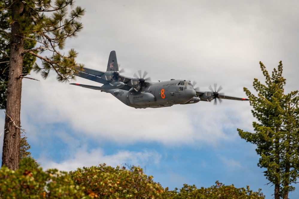 Flying Near the Trees