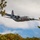 Flying Near the Trees