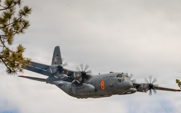 Flying Near the Trees