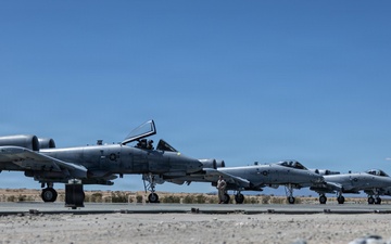 357th Fighter Squadron and MCAGCC conduct joint training with the A-10 Thunderbolt II