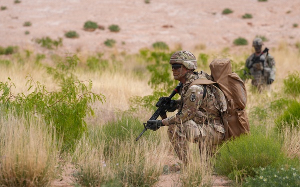 1st Armored Division CAB and HHBN conduct MEDEVAC cross-training
