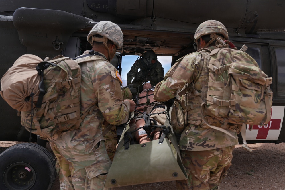 1st Armored Division CAB and HHBN conduct MEDEVAC cross-training