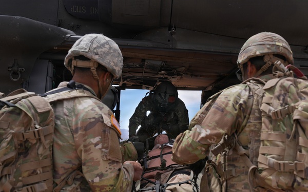 1st Armored Division CAB and HHBN conduct MEDEVAC cross-training