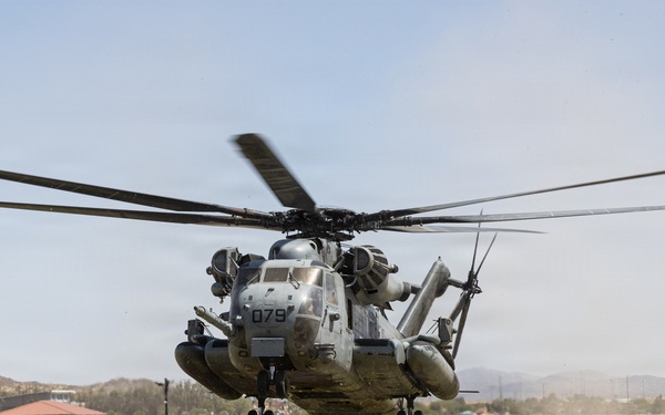 U.S. Marines Conduct a NEO as part of WTI at MCAGCC