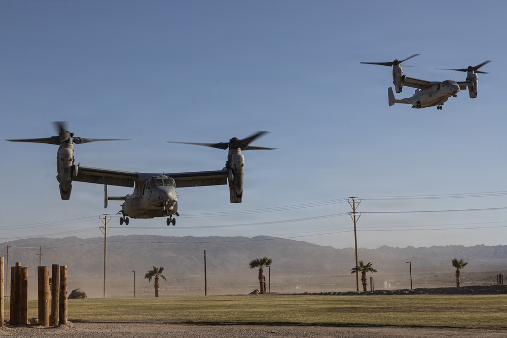 U.S. Marines Conduct a NEO as part of WTI at MCAGCC