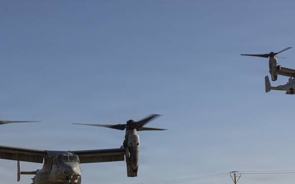 U.S. Marines Conduct a NEO as part of WTI at MCAGCC
