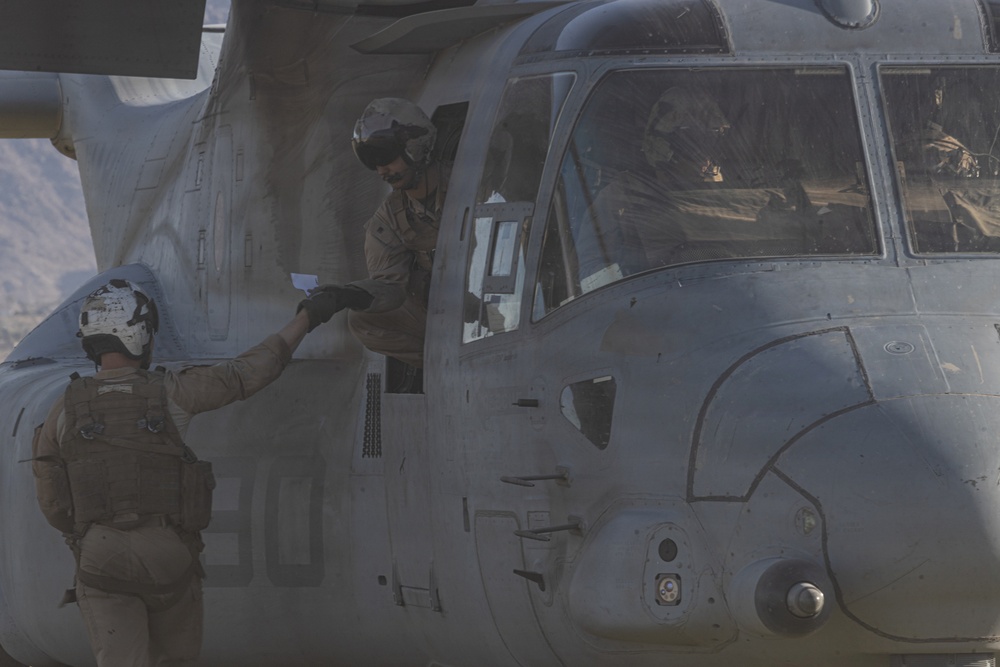 U.S. Marines Conduct a NEO as part of WTI at MCAGCC