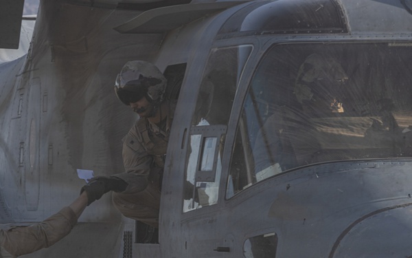 U.S. Marines Conduct a NEO as part of WTI at MCAGCC