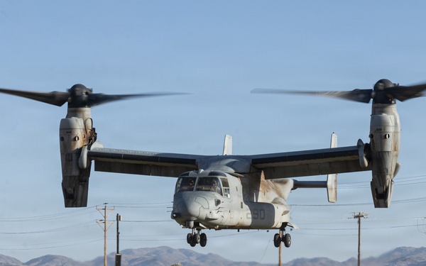 U.S. Marines Conduct a NEO as part of WTI at MCAGCC