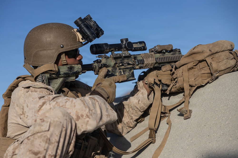 U.S. Marines Conduct a NEO as part of WTI at MCAGCC