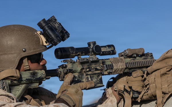 U.S. Marines Conduct a NEO as part of WTI at MCAGCC