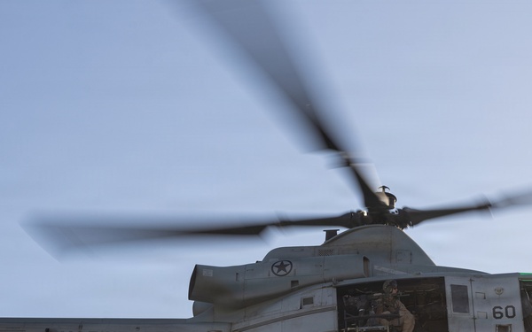 U.S. Marines Conduct a NEO as part of WTI at MCAGCC