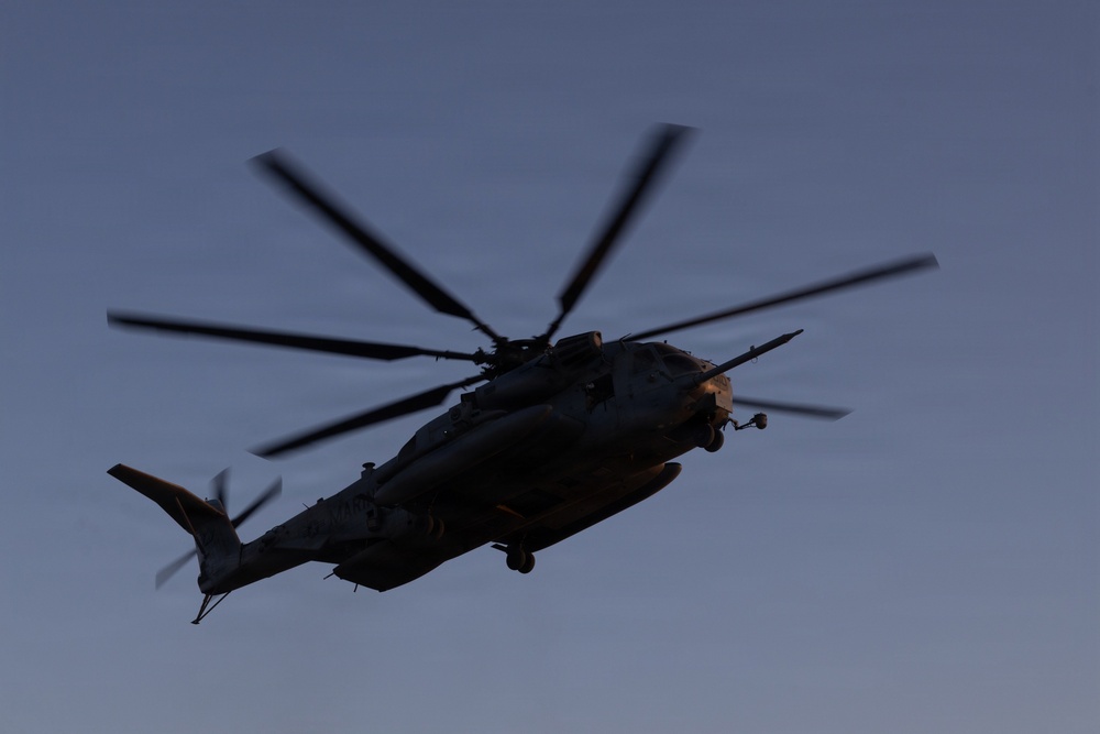 U.S. Marines Conduct a NEO as part of WTI at MCAGCC