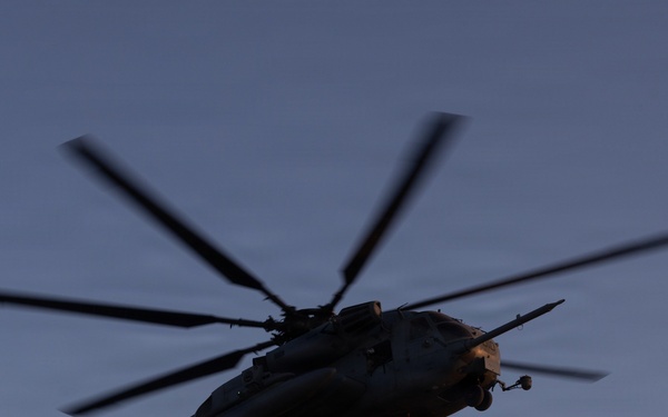 U.S. Marines Conduct a NEO as part of WTI at MCAGCC